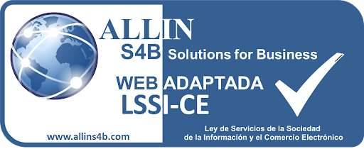 Web adaptada LSSI-CE